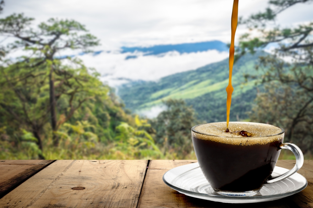 コーヒースペシャリスト資格取得講座|コーヒーの作り方・アレンジを習得!自宅学習・試験でOK