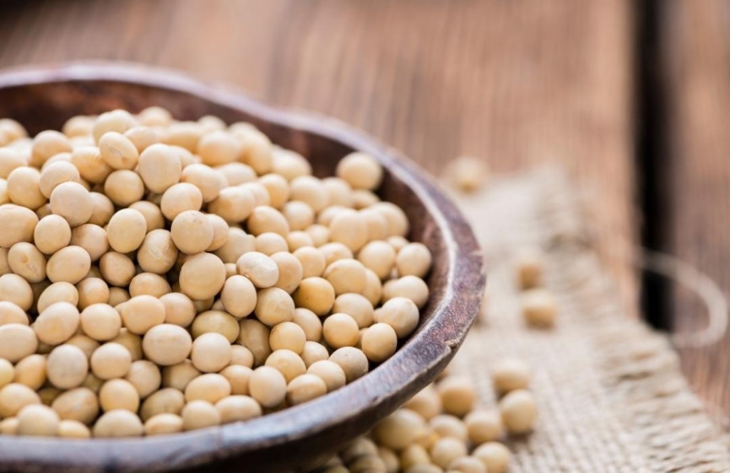 大豆の栄養素について｜タンパク質やイソフラボン、食物繊維など体にうれしい成分を多く含む健康に優しい食材