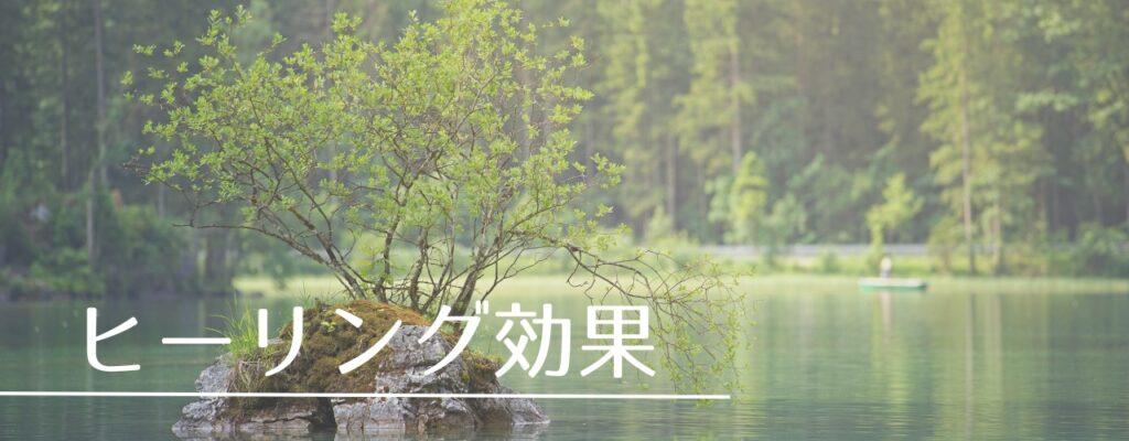 【バッチフラワーレメディ】ロックウォーターがおすすめな人・性格は？