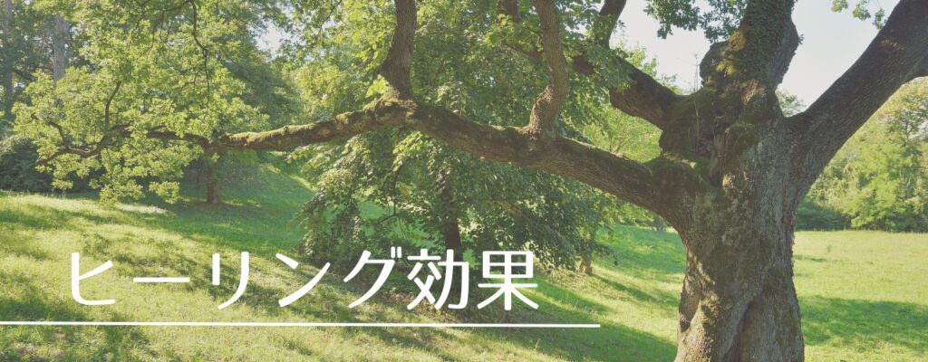 【バッチフラワーレメディ】オークがおすすめな人・性格は?