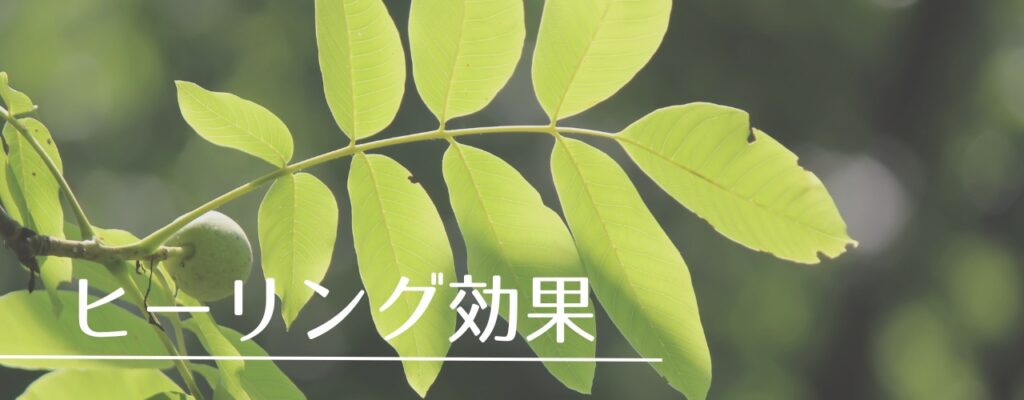 【バッチフラワーレメディ】ウォールナットがおすすめな人・性格は？