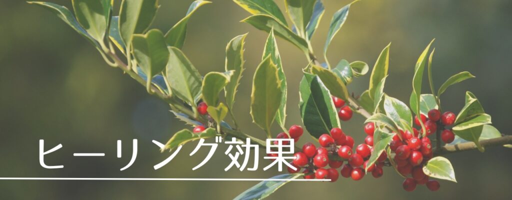 【バッチフラワーレメディ】ホリーがおすすめな人・性格は？