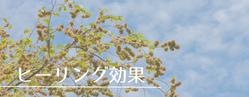 【バッチフラワーレメディ】エルムがおすすめな人・性格は？