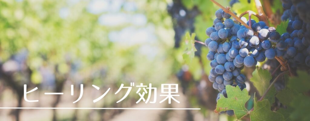 【バッチフラワーレメディ】ヴァインがおすすめな人・性格は?|