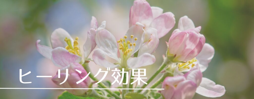 【バッチフラワーレメディ】クラブアップルがおすすめな人・性格は?