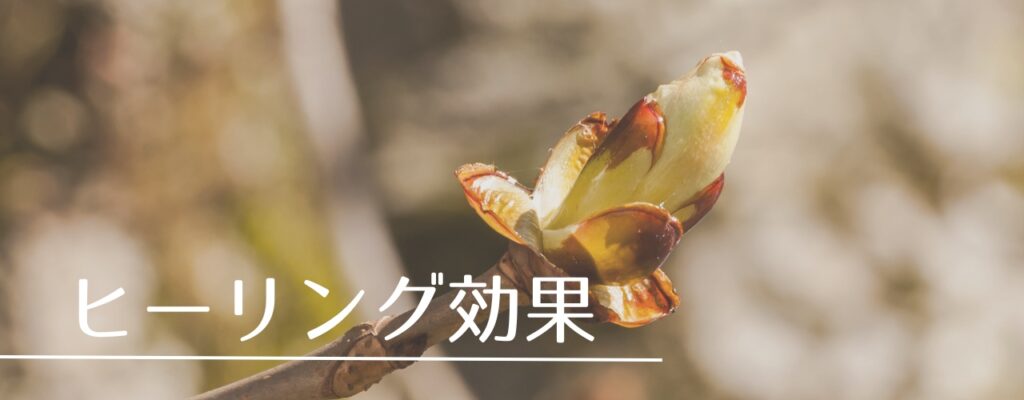 【バッチフラワーレメディ】チェストナットバッドがおすすめな人・性格は?