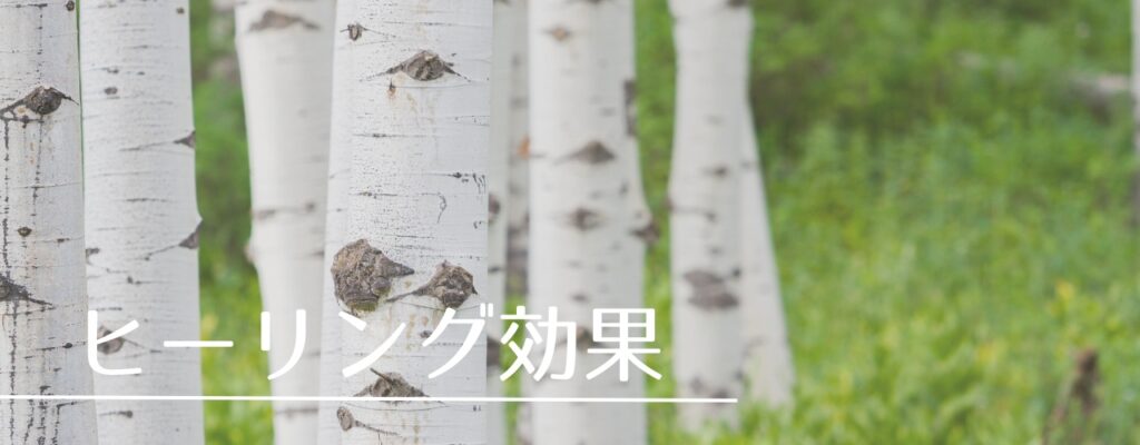 【バッチフラワーレメディ】アスペンがおすすめな人・性格は?