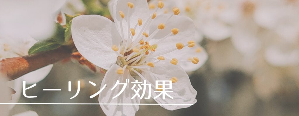 【バッチフラワーレメディ】チェリープラムがおすすめな人・性格は?
