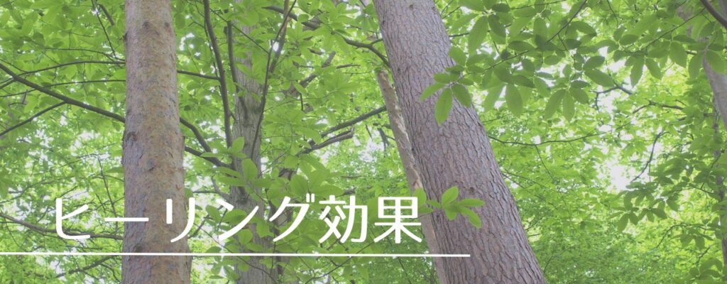 【バッチフラワーレメディ】スイートチェストナットがおすすめな人・性格は？