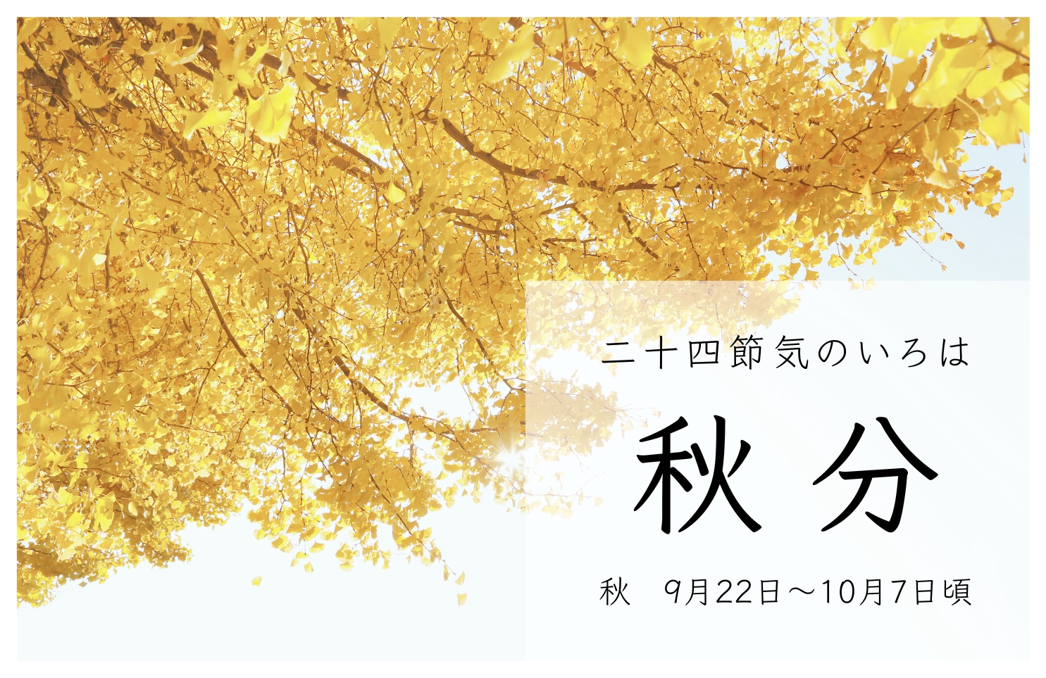 【二十四節気】秋分の基本｜時期・季節の特徴について