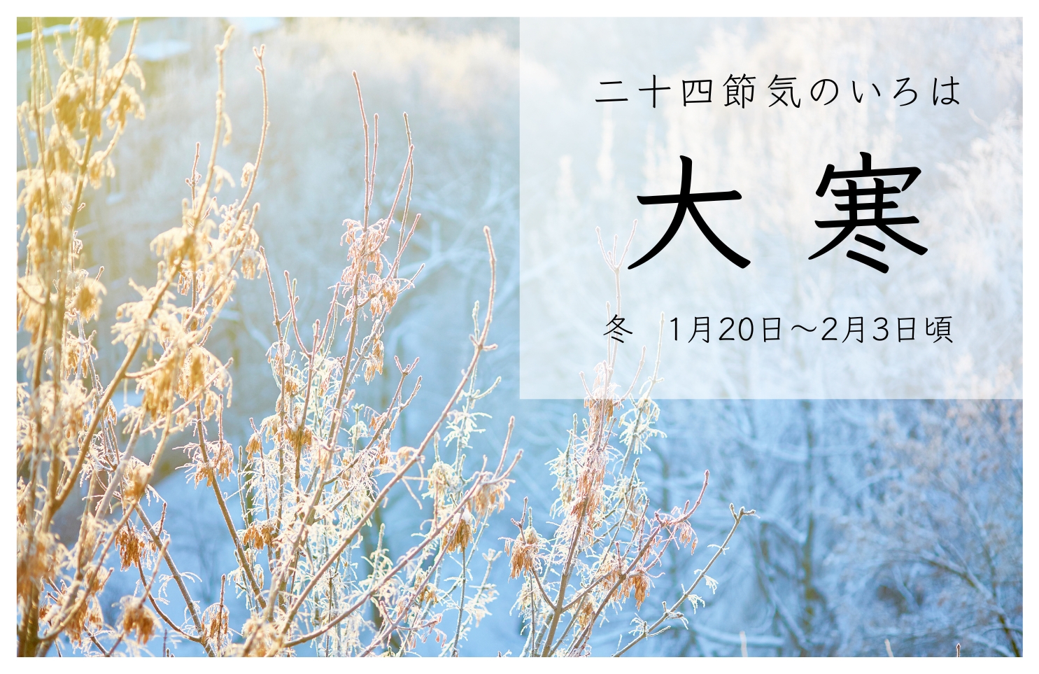 【二十四節気】大寒の基本｜時期・季節の特徴について